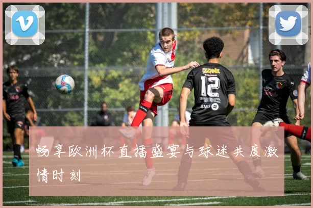 畅享欧洲杯直播盛宴与球迷共度激情时刻