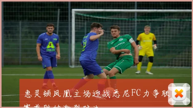 惠灵顿凤凰主场迎战悉尼FC力争联赛首胜的激烈对决